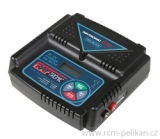 Raytronic C12